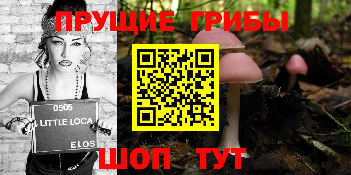 Новокубанск  наркотики  Вход с VPN  Псилоцибиновые грибы ЛСД 