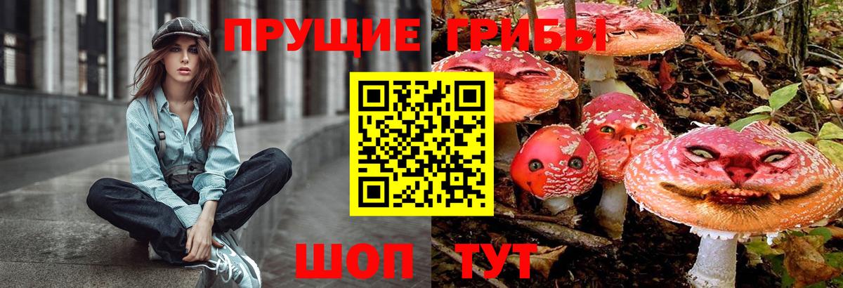Галлюциногенные грибы Psilocybine cubensis Новокубанск